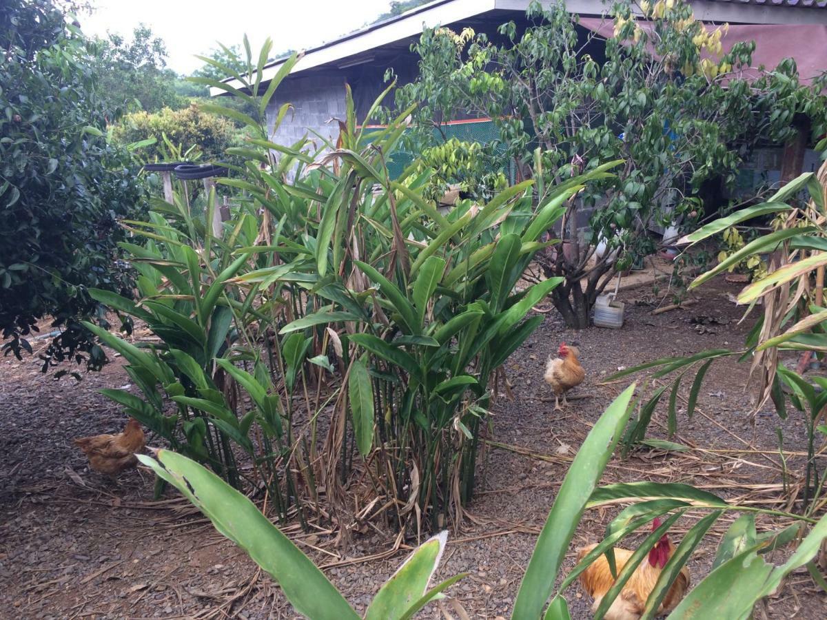 Baan Suan Plearndara Appartement Wang Nam Khiao Buitenkant foto